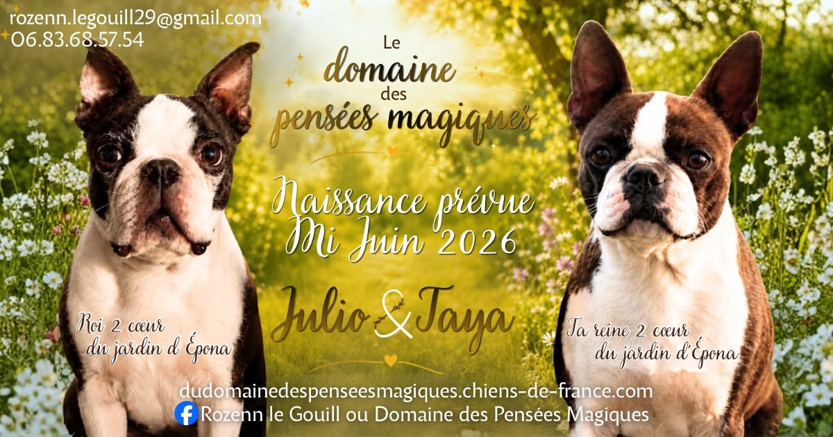 Portée 2026 🐾
